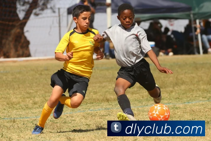 大老爷娱乐城官网服务体系